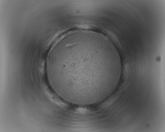 X0000115630596200911101440
