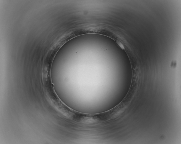 X0000115630597200911101440