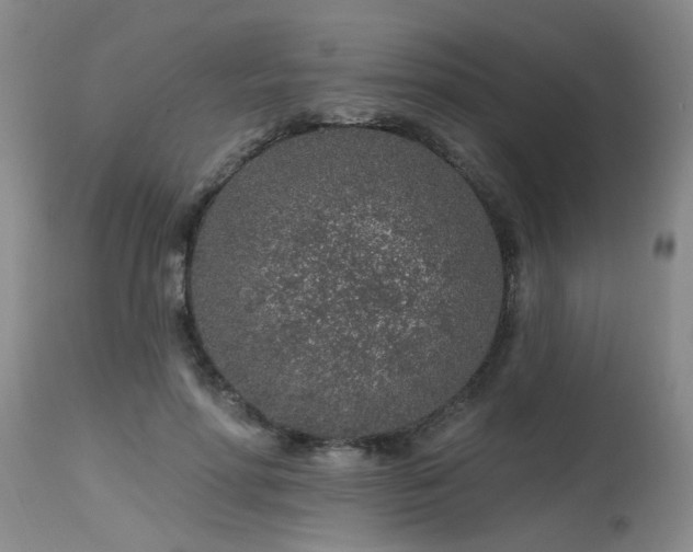 X0000115630598200911101439
