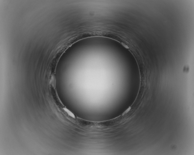 X0000115630599200911101439