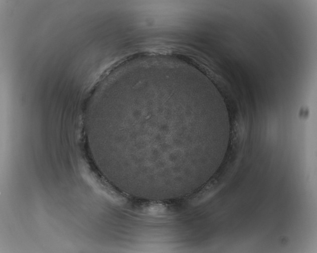 X0000115630600200911101439