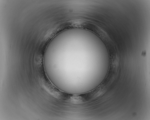 X0000115630603200911101439