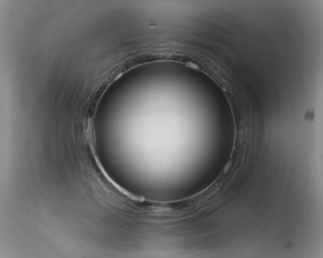 X0000115630605200911101439