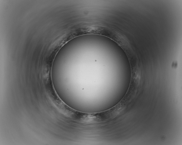 X0000115630607200911101439