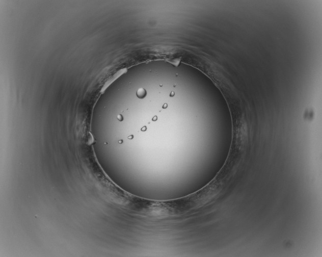 X0000115630608200911101439
