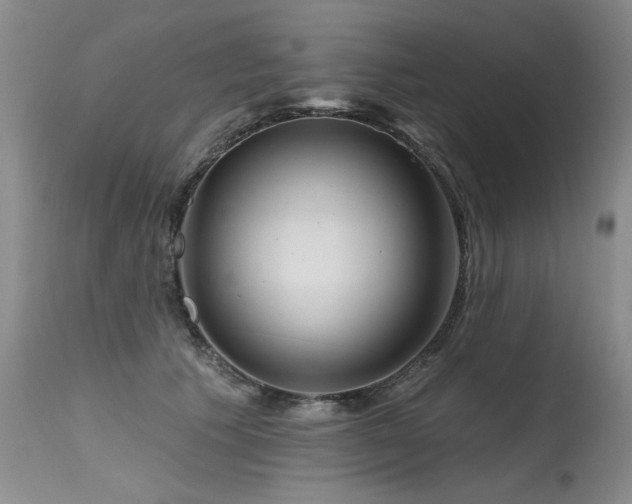 X0000115630609200911101439