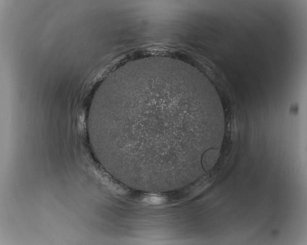 X0000115630610200911101439