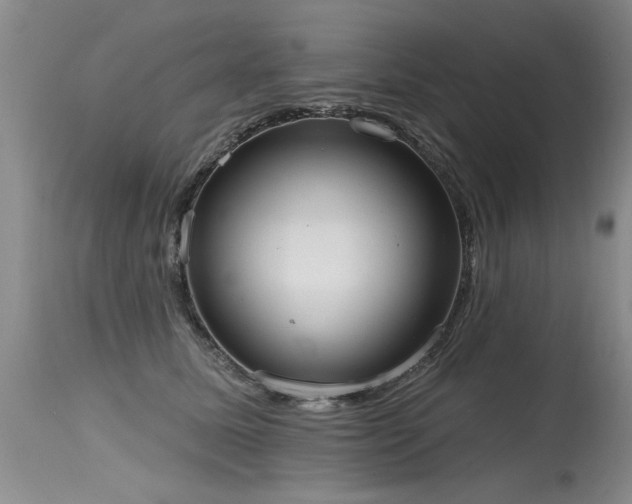 X0000115630611200911101439