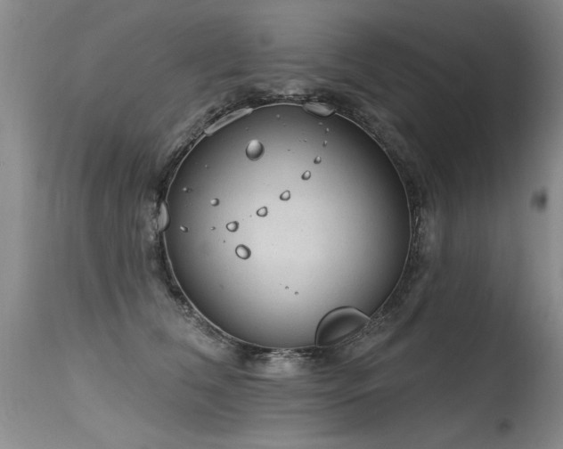 X0000115630612200911101439
