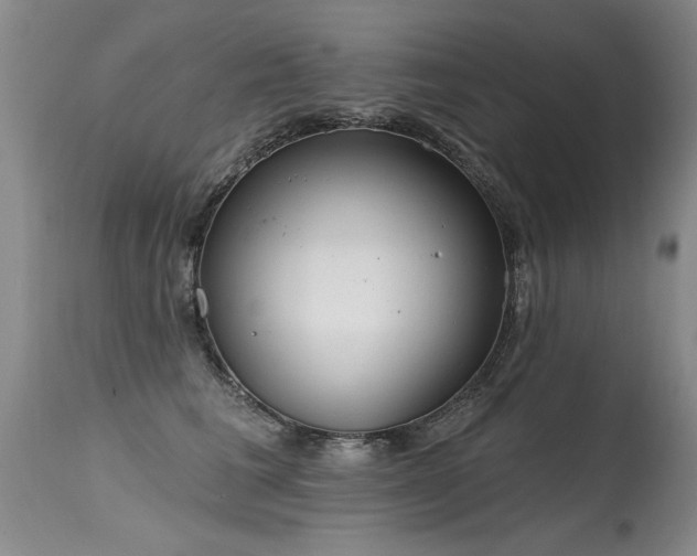 X0000115630613200911101439