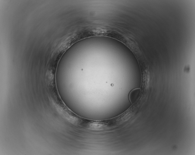 X0000115630614200911101439