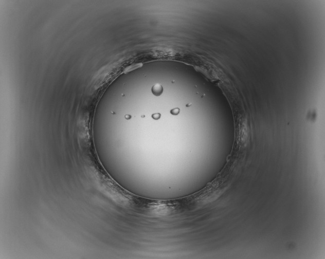 X0000115630616200911101439