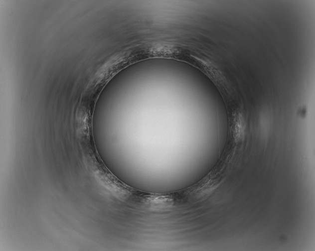 X0000115630619200911101439