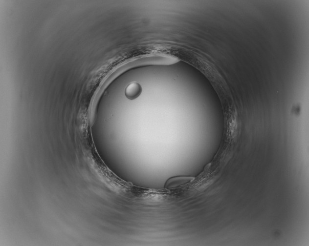 X0000115630620200911101439