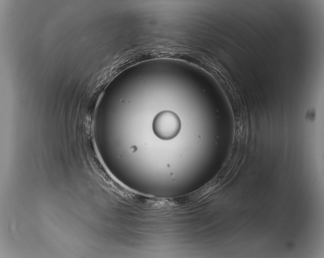 X0000115630621200911101439