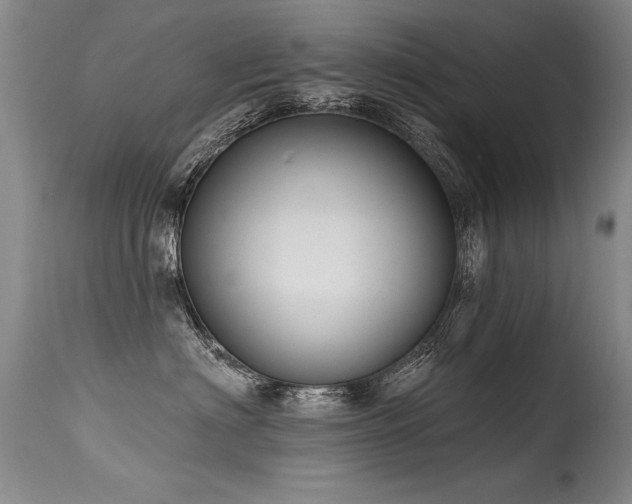 X0000115630622200911101439