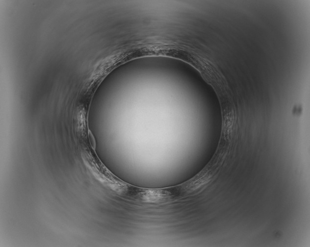 X0000115630623200911101439