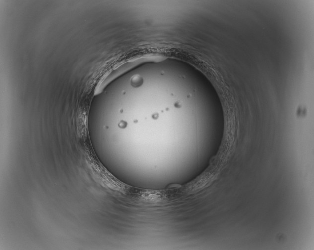 X0000115630624200911101439