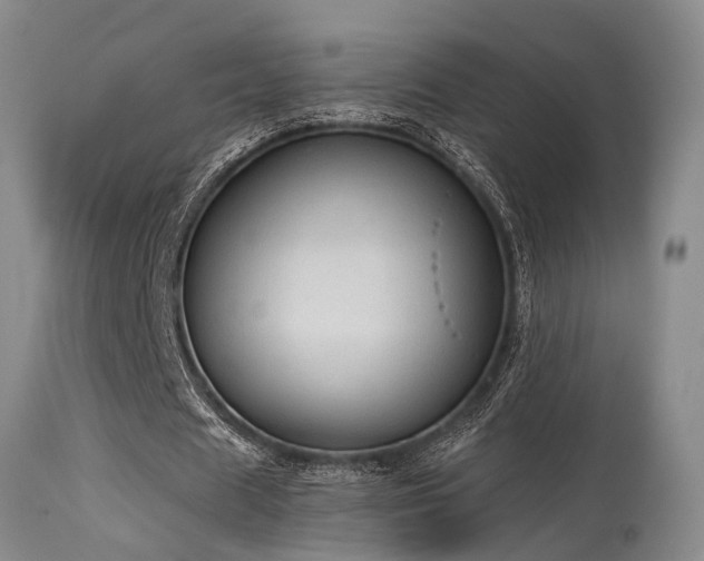 X0000115630625200911101438