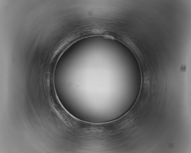 X0000115630626200911101438