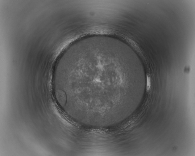 X0000115630627200911101439