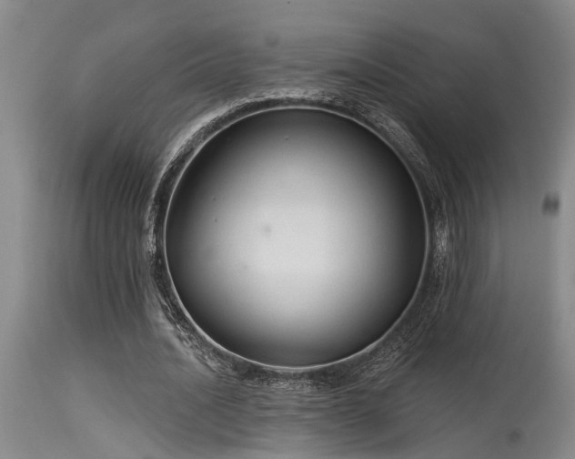 X0000115630628200911101439