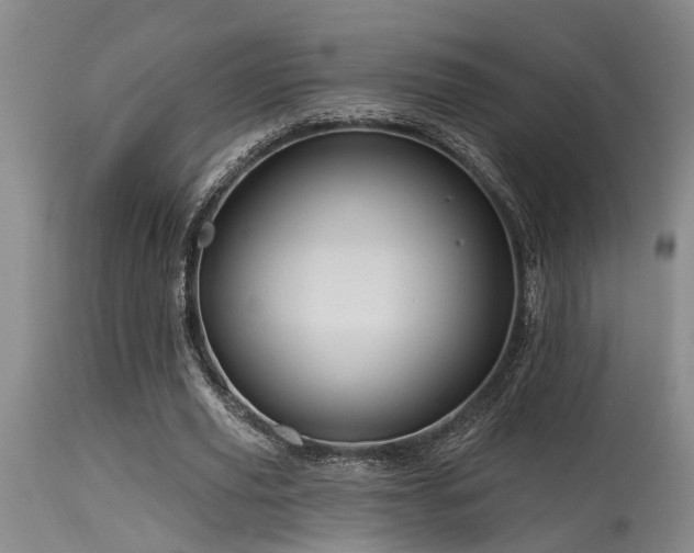X0000115630629200911101439