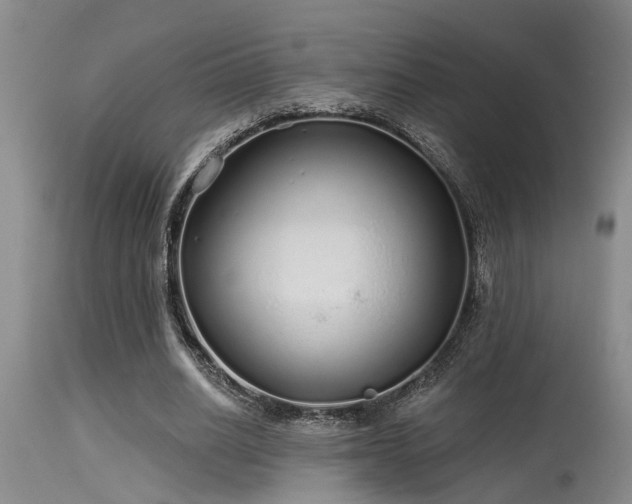 X0000115630630200911101439