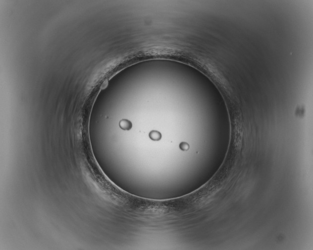 X0000115630631200911101439