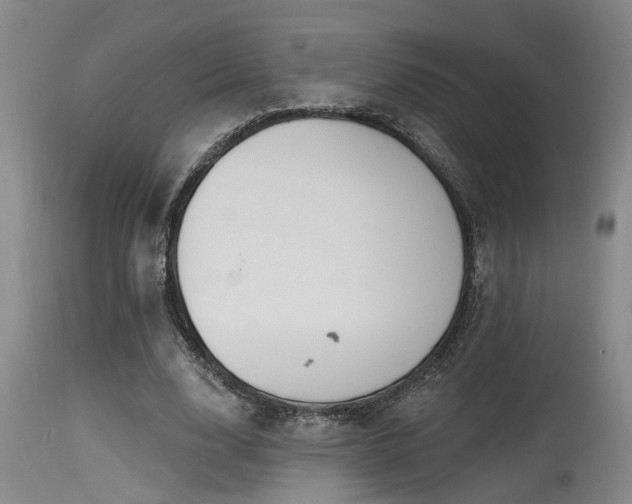 X0000115630632200911101439