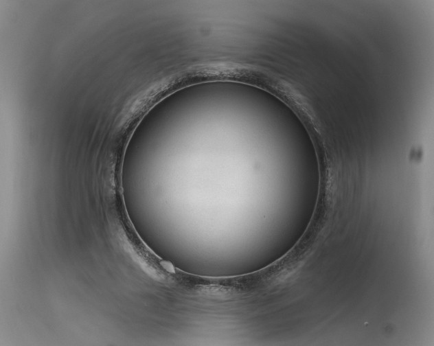 X0000115630633200911101439