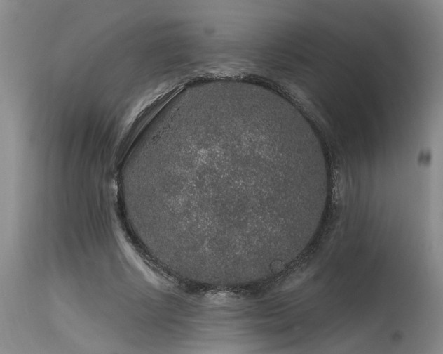 X0000115630634200911101439