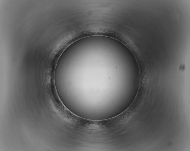X0000115630635200911101439