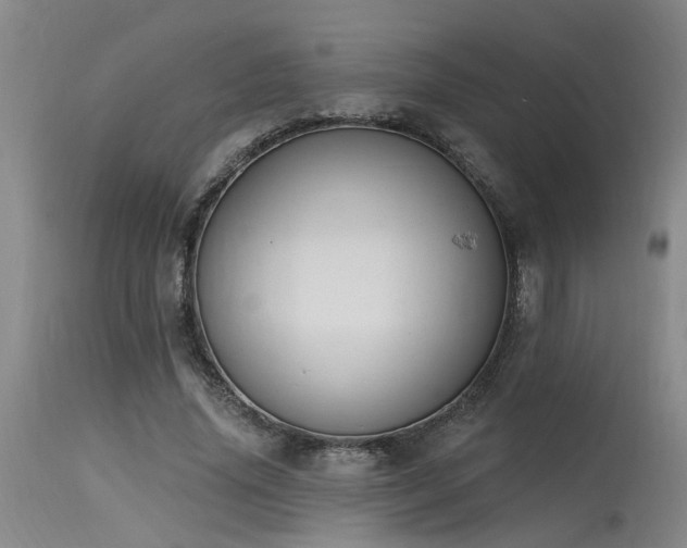 X0000115630636200911101439