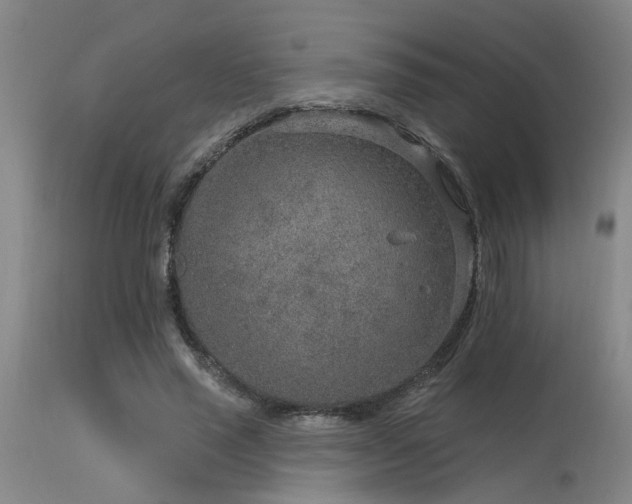X0000115630637200911101439