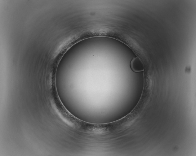 X0000115630638200911101439