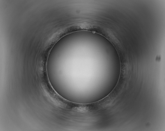 X0000115630639200911101439