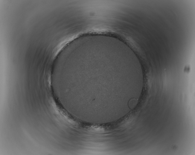 X0000115630640200911101439