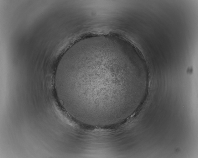 X0000115630641200911101439