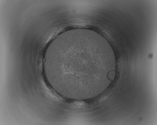 X0000115630642200911101439