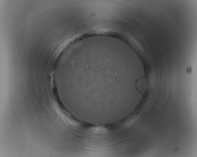 X0000115630644200911101439