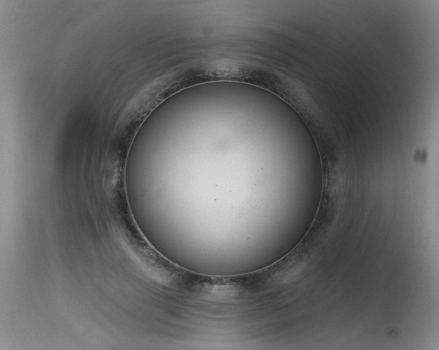 X0000115630645200911101439