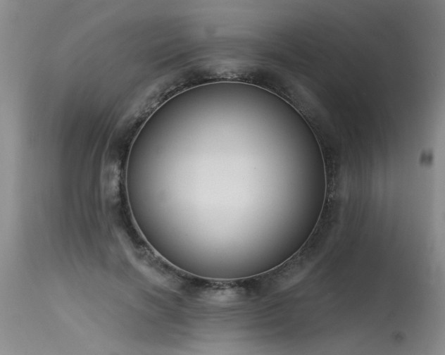 X0000115630646200911101439