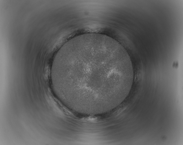 X0000115630647200911101439