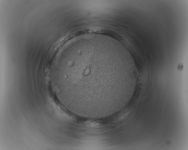 X0000115630648200911101439
