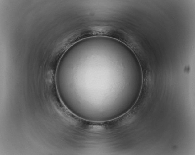 X0000115630649200911101439