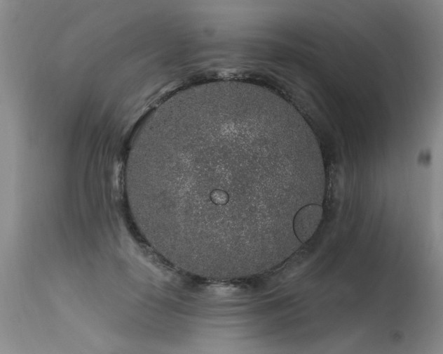 X0000115630650200911101439