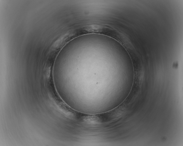 X0000115630652200911101439