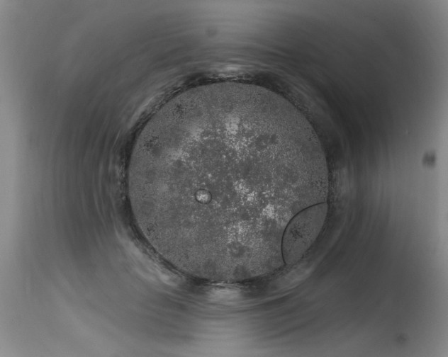 X0000115630653200911101439