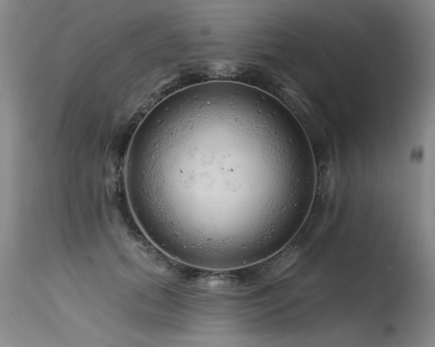 X0000115630655200911101439
